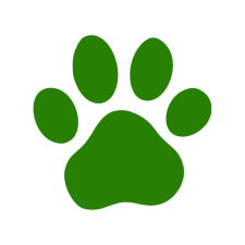 Animal Stories