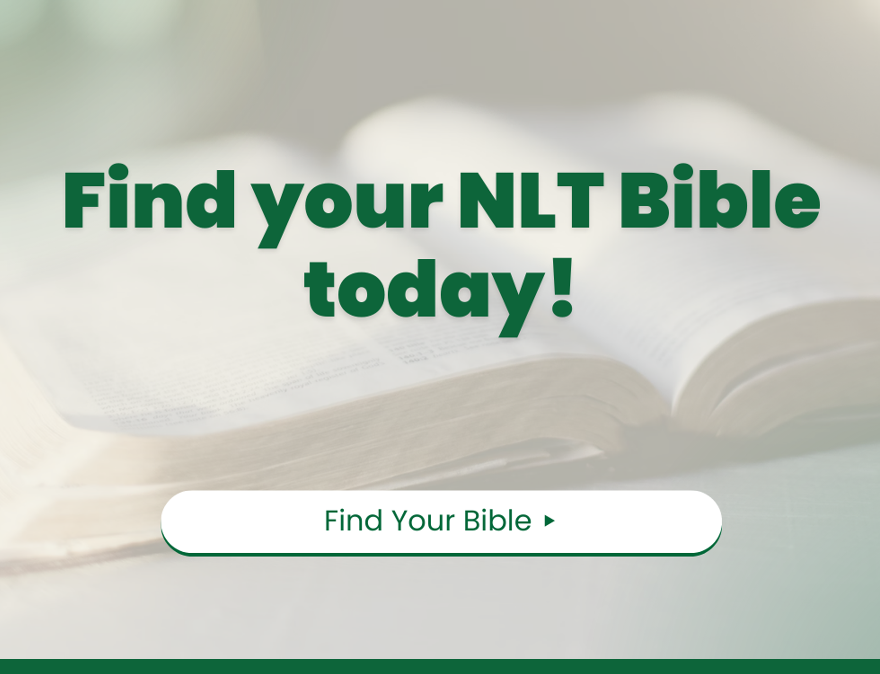 Find your NLT Bible at Eden