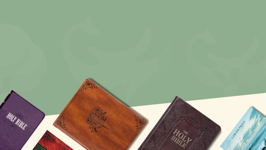 King James Version (KJV) Bibles