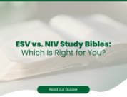 ESV vs. NIV Study Bibles: Which Is Right for You?