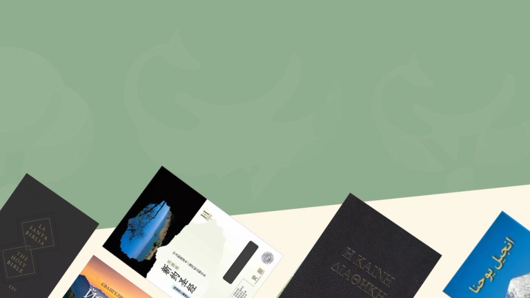 Bibles in Different Languages