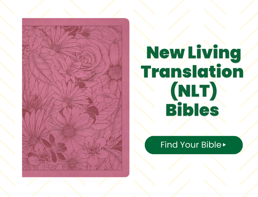 Shop NLT Bibles