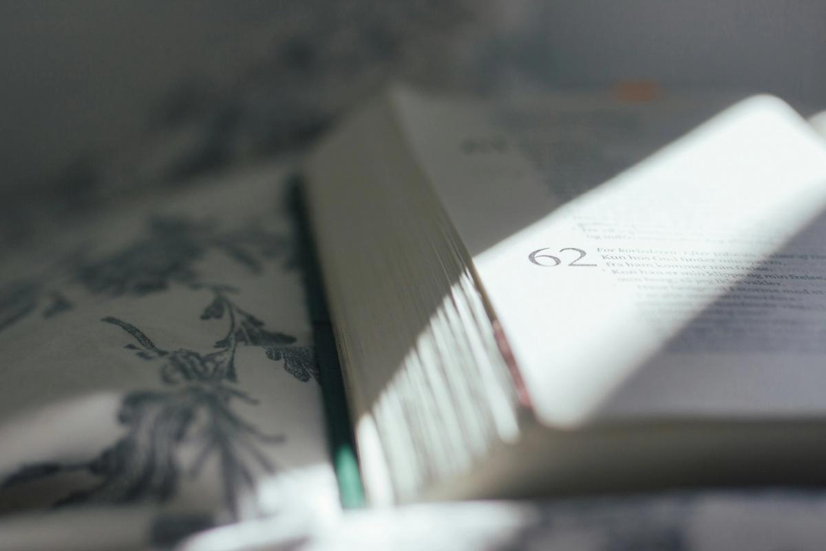 Bible in sunlight 
