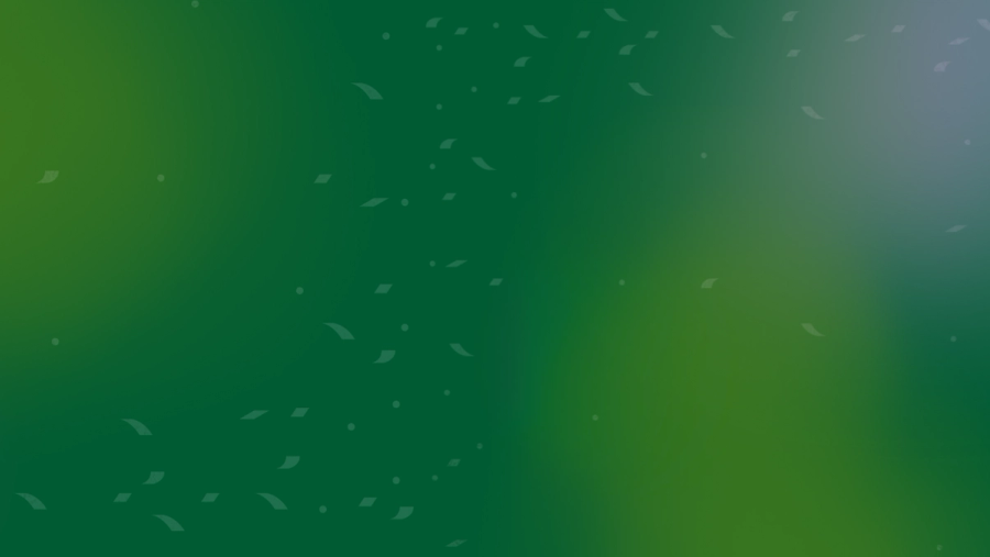 The Best Bibles of 2025