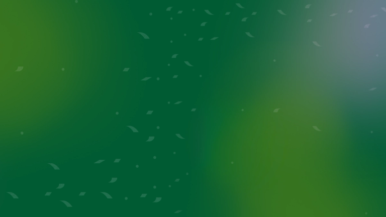 The Best Bibles of 2025