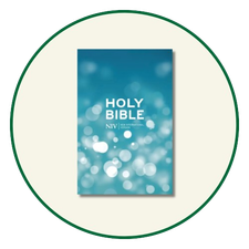 Pew NIV Bibles