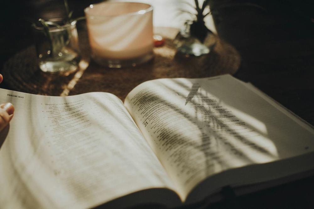 Bible Journaling in the Sunlight