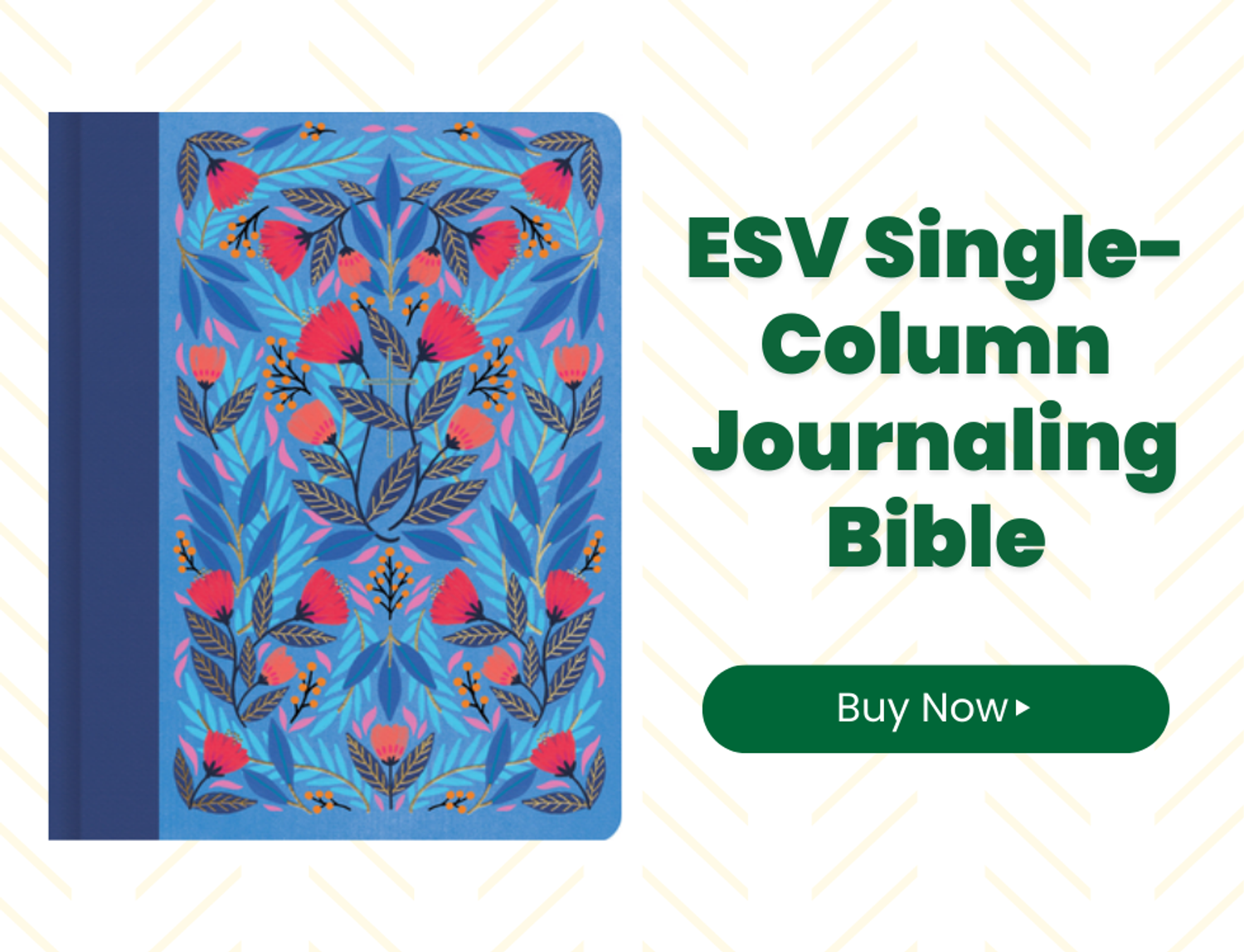 ESV Single Column Journaling Bible
