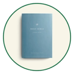 ESV Large Print Bibles