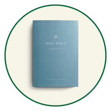 ESV Large Print Bibles