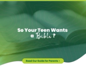 So Your Teen Wants a Bible? A Parent’s Guide to the 2026 Revival
