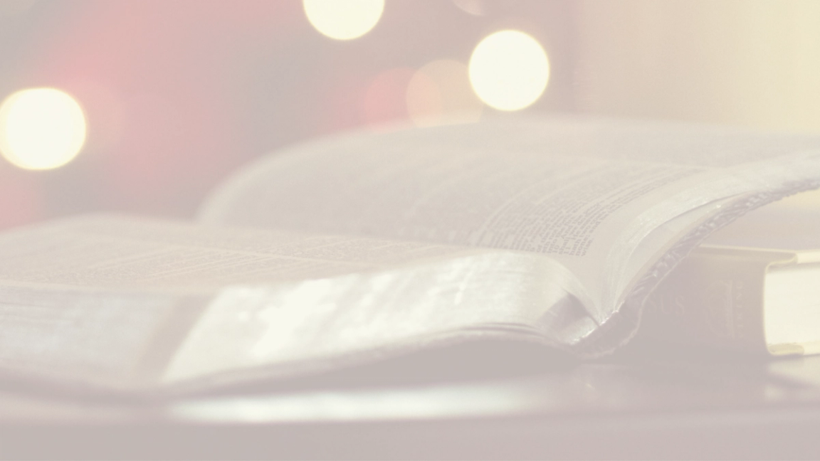 Bibles Under £10