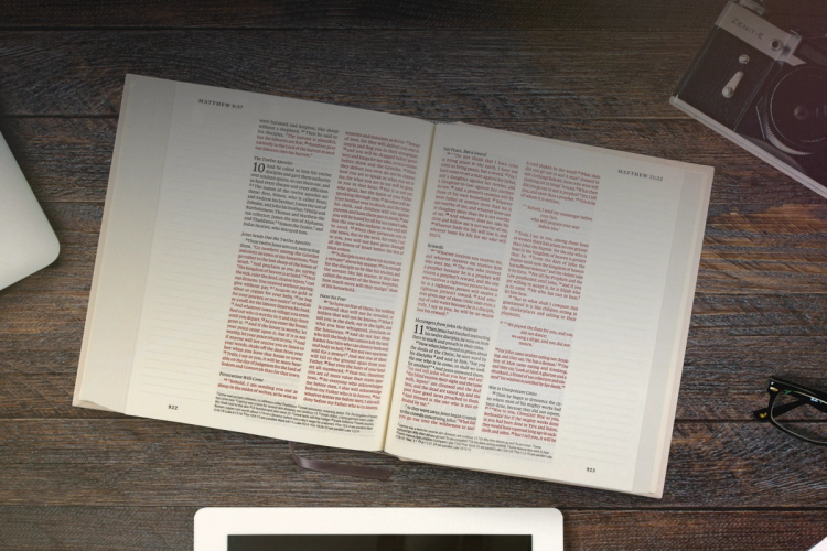 Standard Journaling Bibles