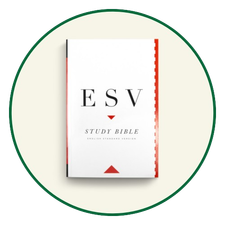 ESV Study Bibles