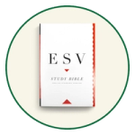 ESV Study Bibles