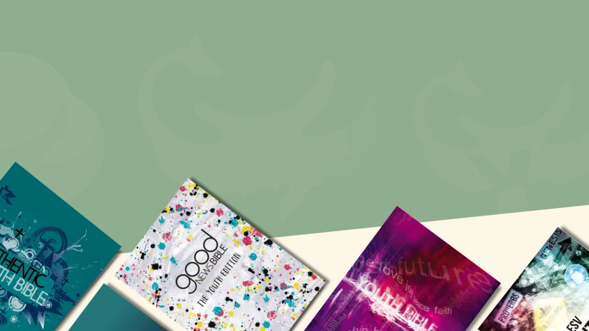 Youth Bibles