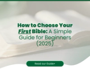 The Best Bibles for Beginners
