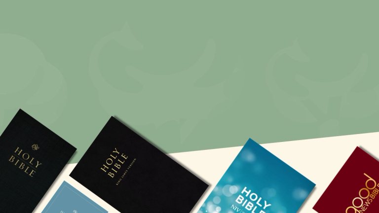 Bulk Bibles for Churches, Schools, and Ministries