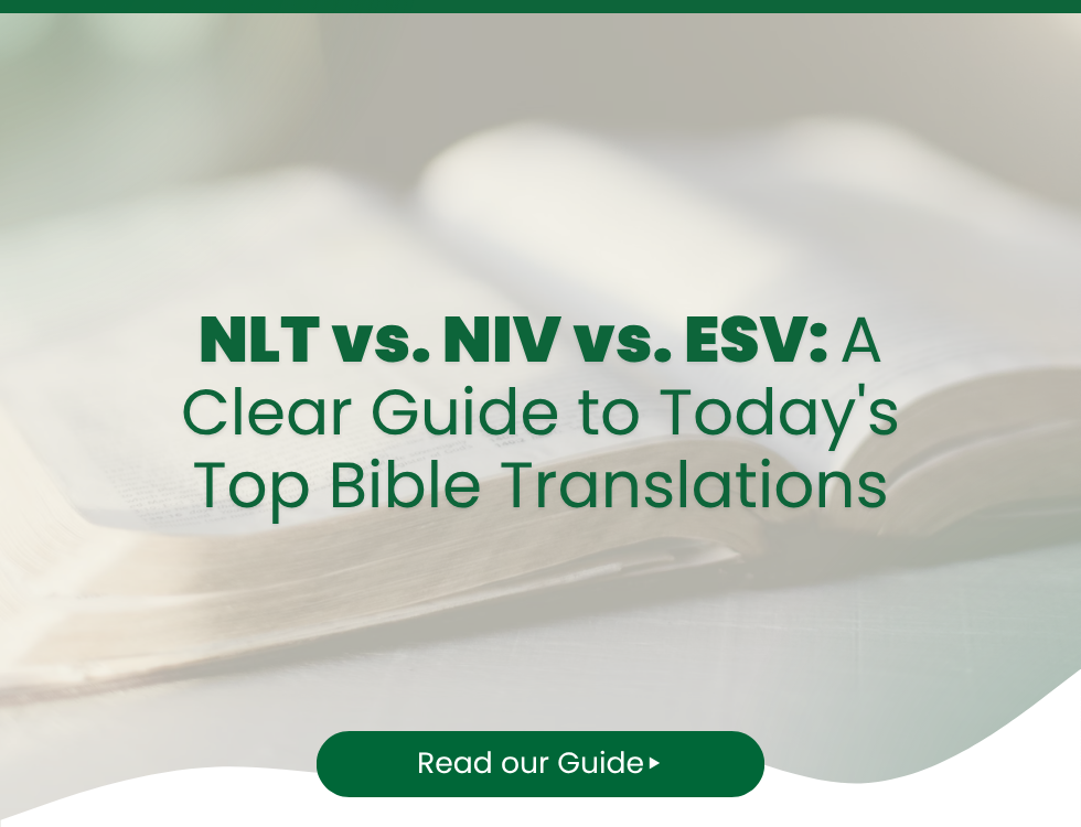 NLT vs. NIV vs. ESV: A Clear Guide to Today's Top Bible Translations
