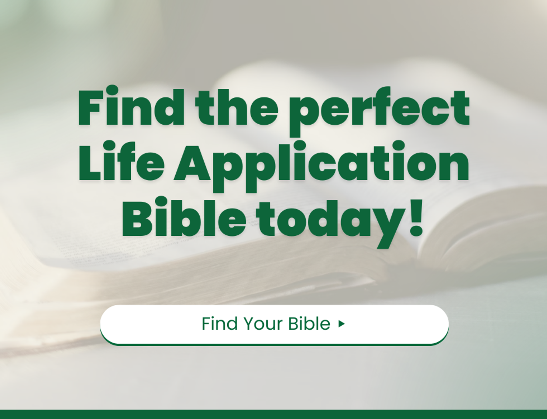 💡 Find the perfect Life Application Bible today! → Shop Now