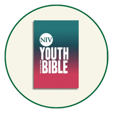 NIV Youth Bibles