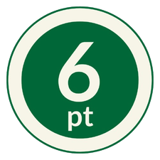 6 Point Bibles