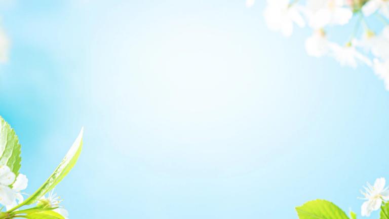 Spring Clearance Banner