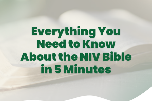 Everything You Need to Know About the NIV Bible in 5 Minutes