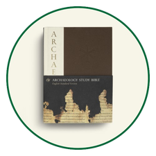 ESV Archeology Bible