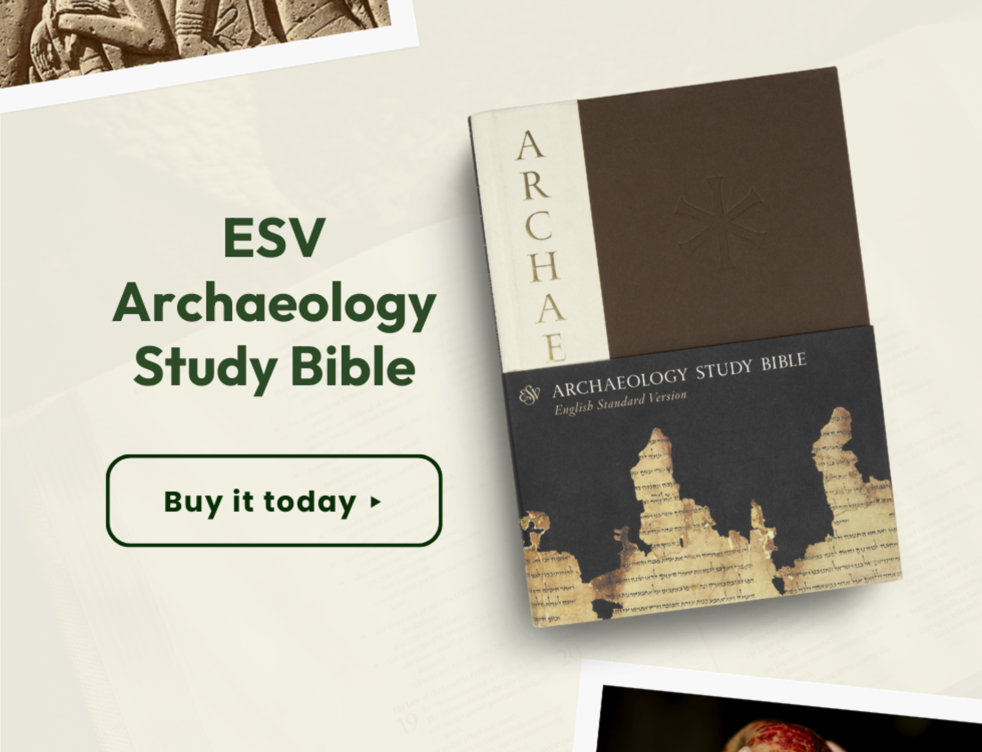 ESV Archaeology Study Bible