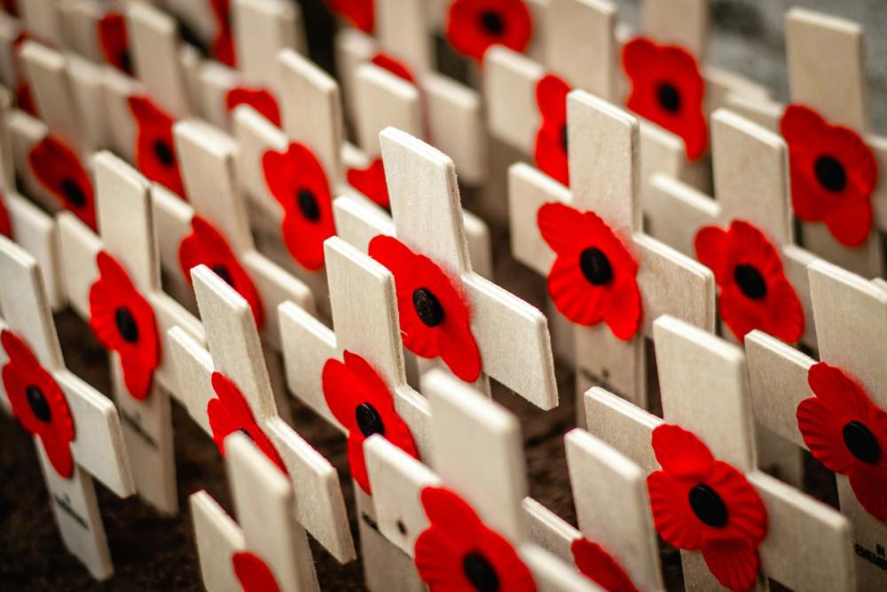 Activities For Remembrance Day