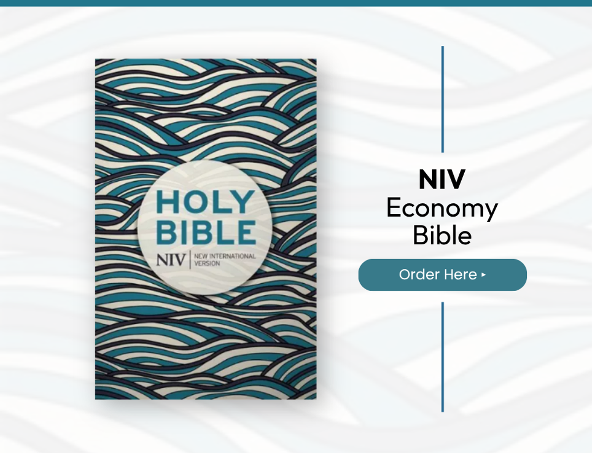 NIV Economy Bible