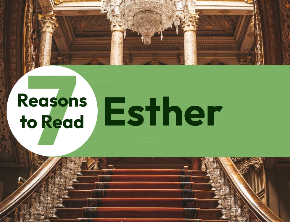 7 Reasons to Read Esther