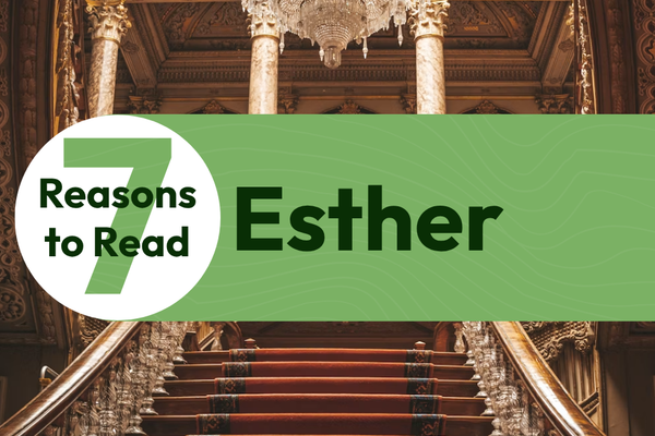 7 Reasons to Read Esther