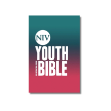 NIV Youth Bibles