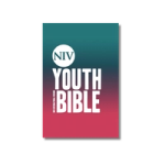 NIV Youth Bibles