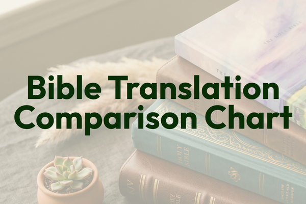 Bible Translation Comparison Chart