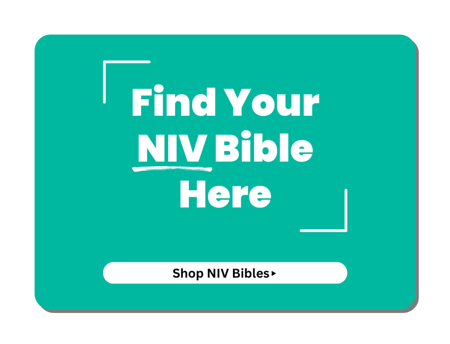 Buy the NIV Bible Today