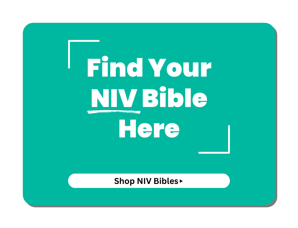 Buy the NIV Bible Today