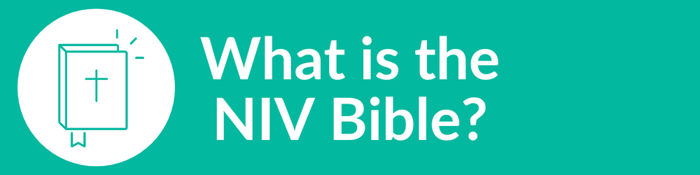 What is the NIV Bible?