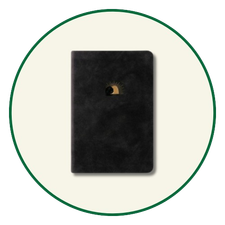 New NLT Bibles