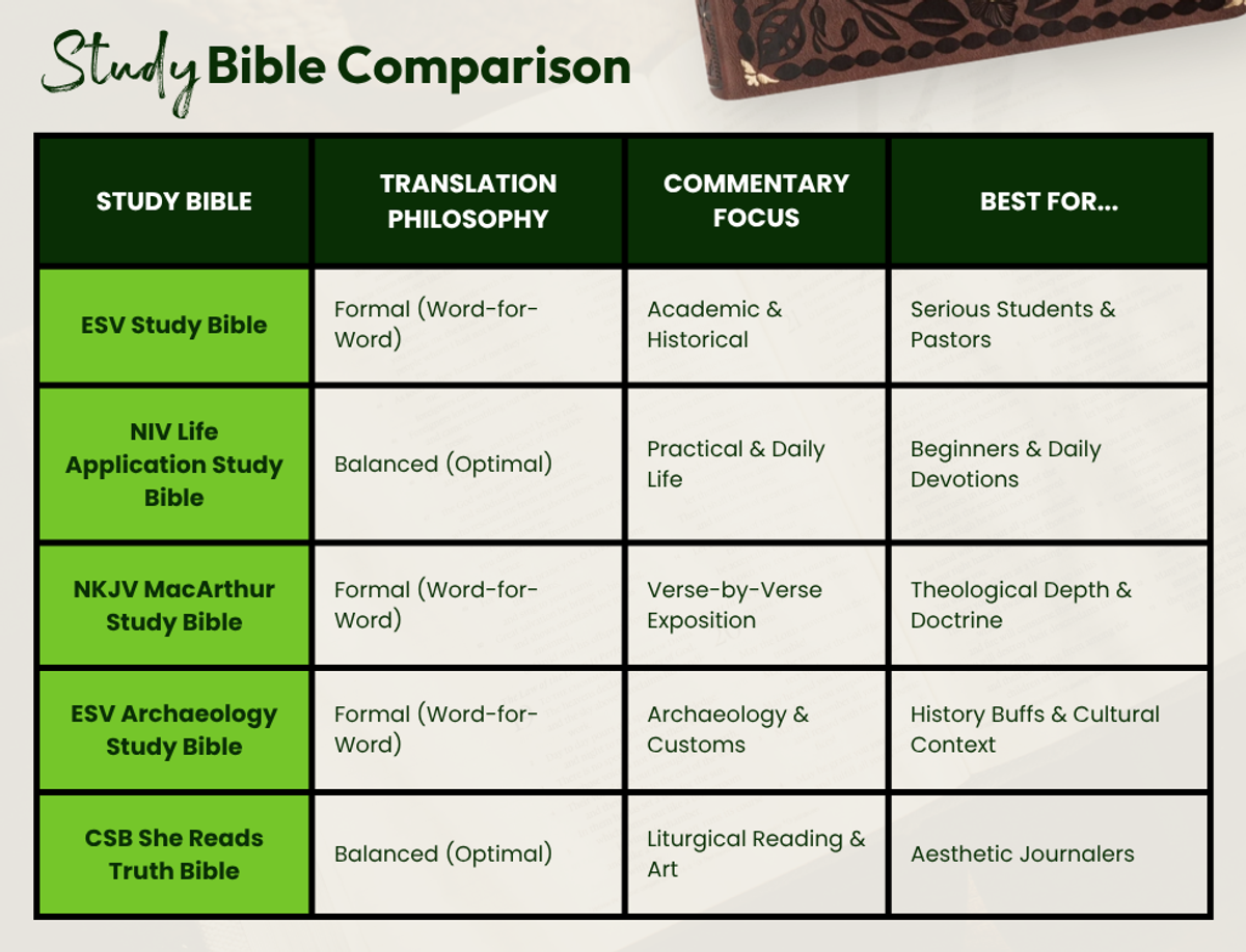 Best Study Bibles Comparison