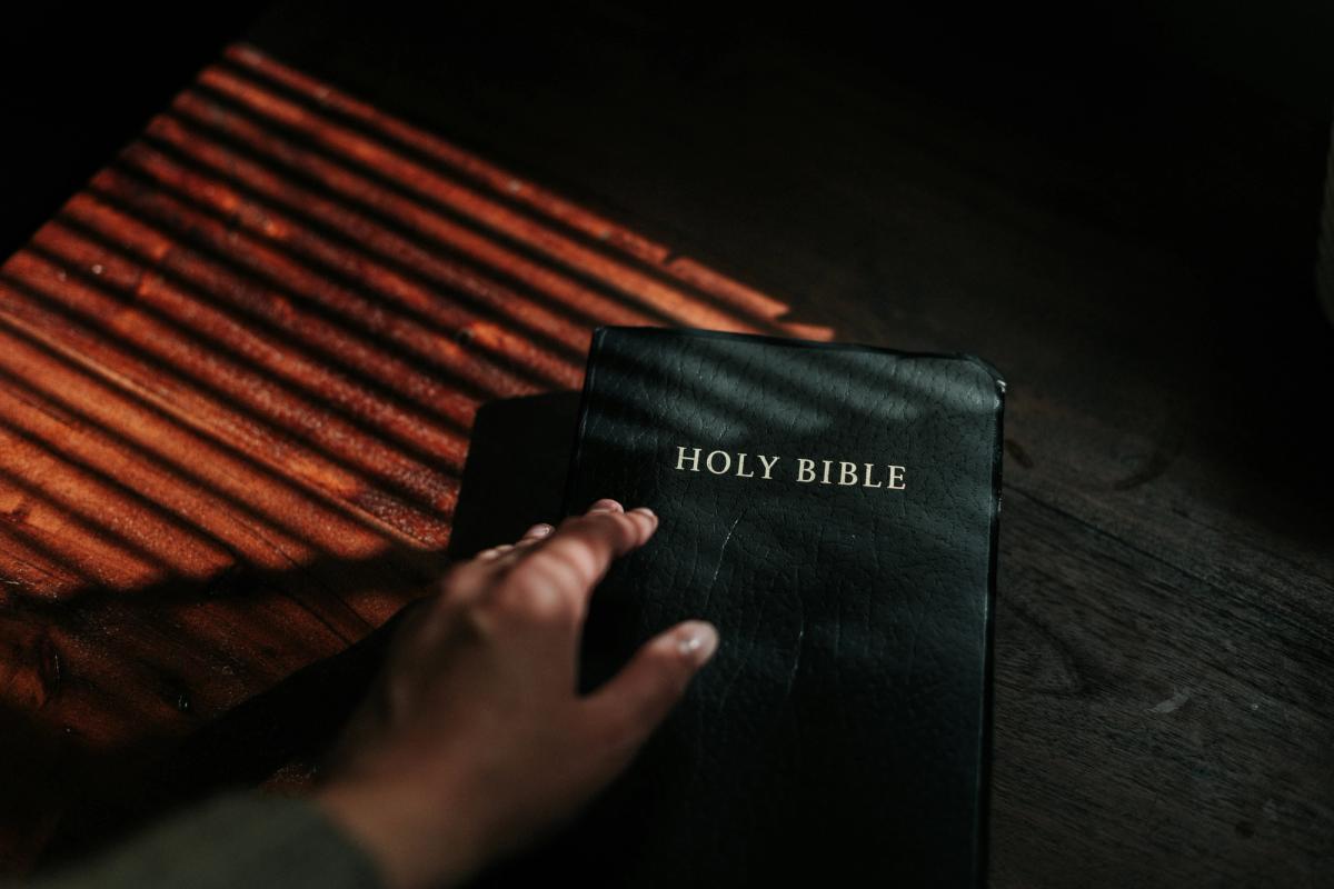 Person Holding a Bible