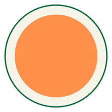 Orange Bibles
