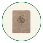 NLT Journaling Bibles UK