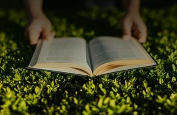 Guide to Growing Your Faith This Summer