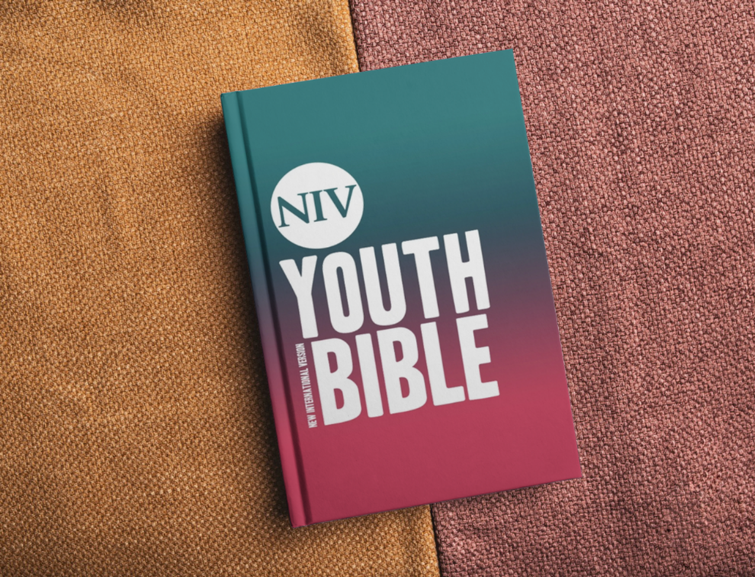 NIV Youth Bible Hardback (New International Version)