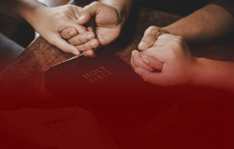 Books & Bibles for New Christians: Start Your Faith Journey Well