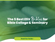 The 5 Best ESV Bibles for Bible College & Seminary