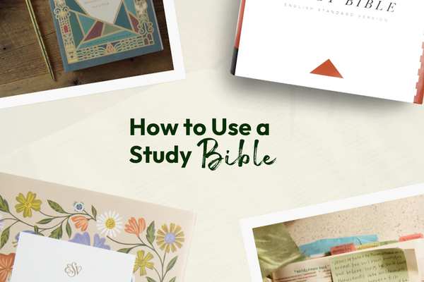 How to Use a Study Bible: Getting Started with the ESV Study Bible